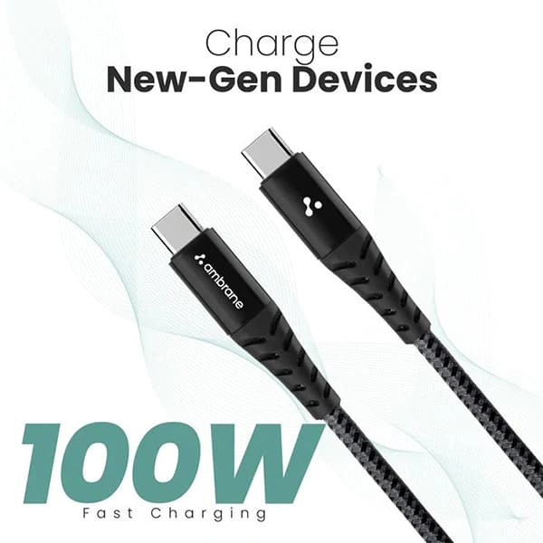 Ambrane ABCC-100 Type C To Type C Braided Cable