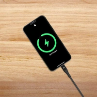 Ambrane AMC-10 MFI Certified Lightning Braided Cable