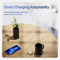 Ambrane RAAP 45 45W BoostedSpeed Charger