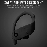 Beats Powerbeats Pro Wireless Earbuds - Black