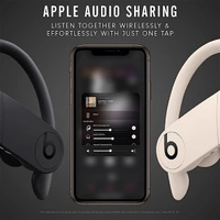 Beats Powerbeats Pro Wireless Earbuds - Black