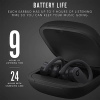 Beats Powerbeats Pro Wireless Earbuds - Black