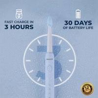 beatXP Buzz Electric Toothbrush for Adults