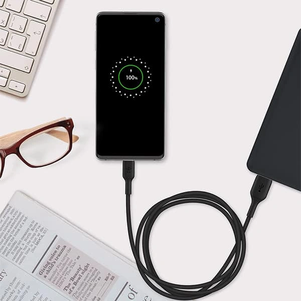 Belkin Type C to USB-A 2.0 Male Cable (1 meter)