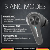 Blaupunkt BTW300 Platinum Hybrid ANC Moksha Earbuds