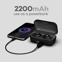 Boult Audio Powerbuds True Wireless in Ear Earbuds with 120H Playtime