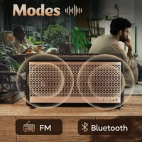Boult Audio Boult RetroAmp Z30 Bluetooth Speaker