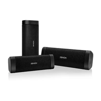 Denon Envaya DSB250BT Waterproof Speaker - Silver - Silver