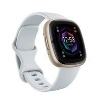 Fitbit Sense 2 Health & Fitness Band - White Platinum - White Platinum