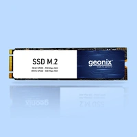 Geonix 256GB SSD M.2 Black Internal Solid State Drive
