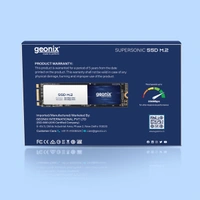Geonix 256GB SSD M.2 Black Internal Solid State Drive