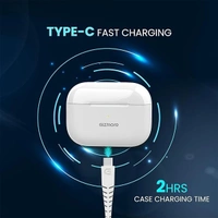 Gizmore 862 TWS in-Ear Earbuds