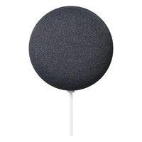 Google Nest Mini (2nd Gen) Smart Speaker