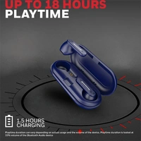 Honeywell Suono P2100 Truly Wireless Earbuds