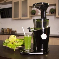Hurom H-100 Cold Press Slow 150W Juicer - Platinum Silver - Platinum Silver