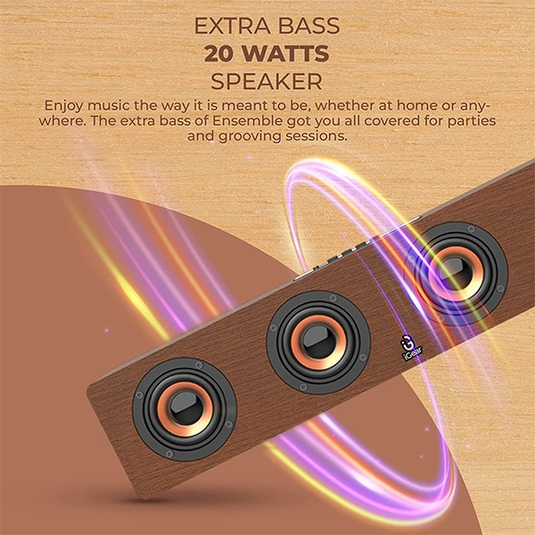 iGear Ensemble 20W Wooden Portable Soundbar With USB/TF Card Support
