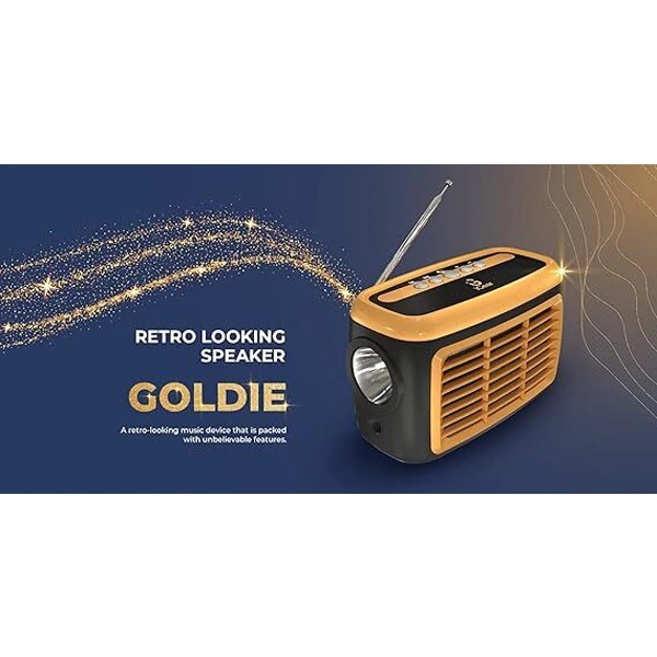iGear Goldie Radio and Bluetooth Speaker With In -Built Mic