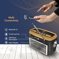 iGear Goldie Radio and Bluetooth Speaker With In -Built Mic