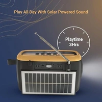 iGear Goldie Radio and Bluetooth Speaker With In -Built Mic