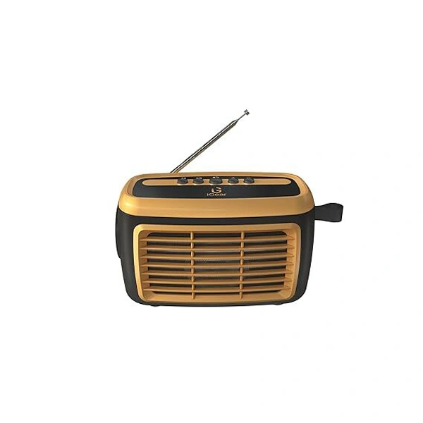 iGear Goldie Radio and Bluetooth Speaker With In -Built Mic