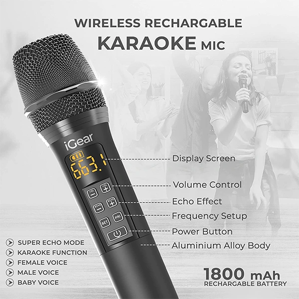 iGear Grape Portable 70W Wireless Speaker With Karaoke Mic