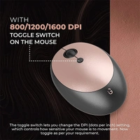 iGear KeyBee Pro Limited Edition Wireless Keyboard & Mouse Combo
