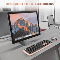 iGear KeyBee Pro Limited Edition Wireless Keyboard & Mouse Combo