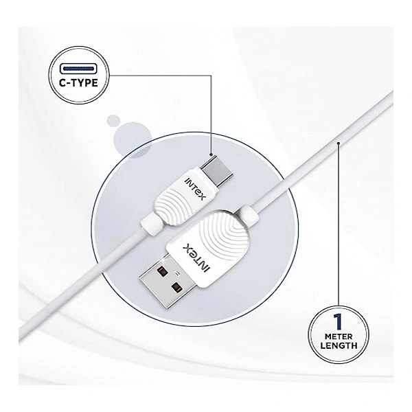 Intex STAR 2.4C 1M USB Type C Cable