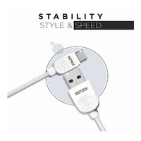 Intex STAR 2.4C 1M USB Type C Cable