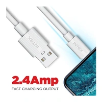 Intex STAR 2.4I 1M Lightning Cable
