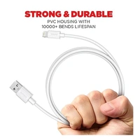 Intex STAR 2.4I 1M Lightning Cable