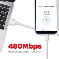 Intex STAR 2.4I 1M Lightning Cable