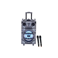 Intex T-300 TUFB (Dual) 60W v5.1 Trolley Speaker