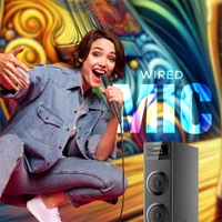 Intex Thunder 700 (S) 70W Tower Speaker