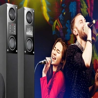Intex Titan 2000 (D) | TW 16000 FMUB 160W 2.2 Tower Speaker (200W)