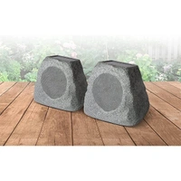 ION Solar Rechargeable Outdoor Speaker with Multi-Sync