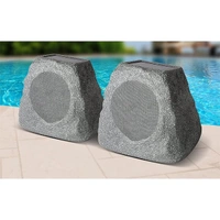 ION Solar Rechargeable Outdoor Speaker with Multi-Sync