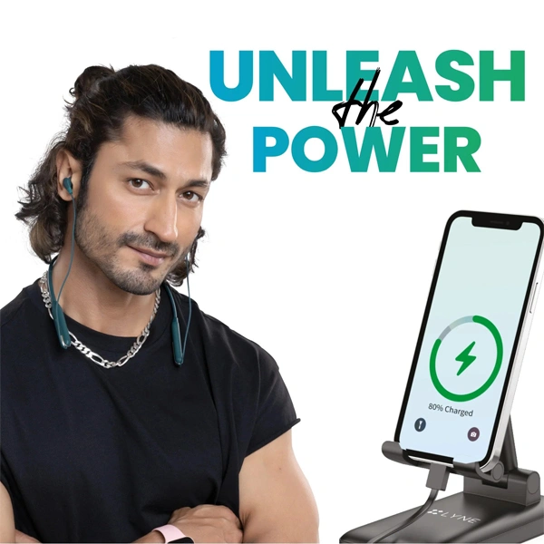 Lyne LYNE Powerbox 4 Powerbanks