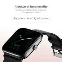 Noise ColorFit Pro 4 Smart Watch - Deep Wine - Deep Wine