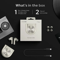 Noise Master Buds In Ear Bluetooth Earbuds - Titanium - Titanium