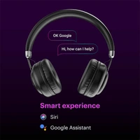 Noise Powr Wireless Headphone