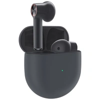 OnePlus Buds True Wireless in Ear Earbuds with Mic - Black - Black