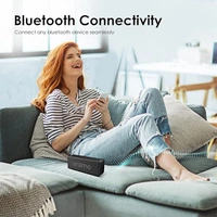 Oraimo SoundPro-2C 10W Portable Wireless Bluetooth Speaker