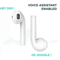 Pebble Duet Wireless Earbuds