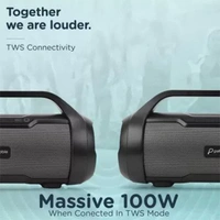 Pebble Thunder 50W Wireless Speaker