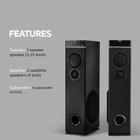 Philips Audio SPA9080B Tower Speakers