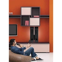 Philips Audio SPA9120B/94 Tower Speakers