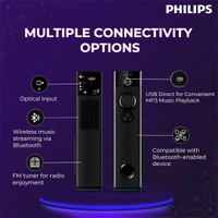 Philips Audio SPA9160 2.0CH 160W Multimedia Tower Speakers