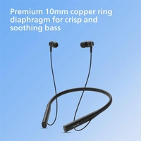 Philips Audio TAN4207BK Bluetooth Earphones