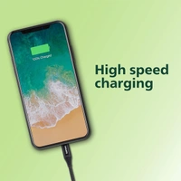 Philips DLC5204C/00 USB-C to USB-C Cable - 1.2M
